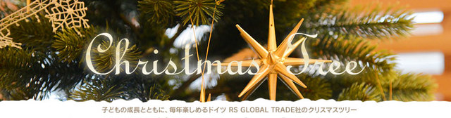 xmas2013_banner.jpgのサムネイル画像