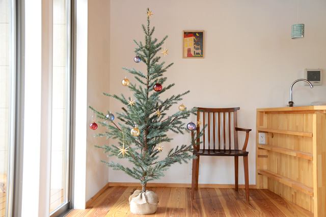 ホーゲボーニング社のクリスマスツリーがmomoに来ました！ – MOMO モモ