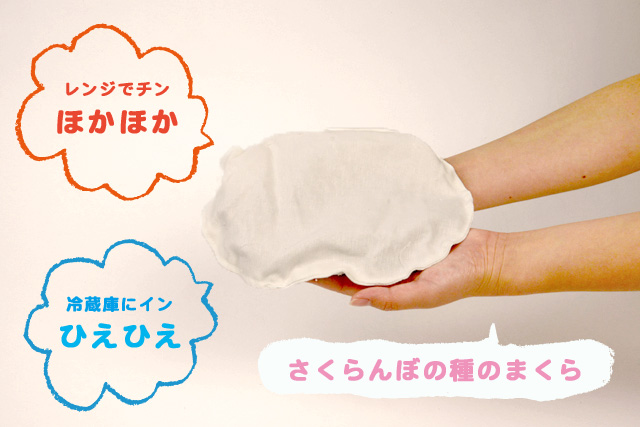 pillow04のコピー.jpg