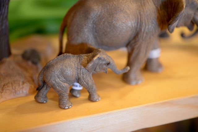 schleich_elephant_india_kids.jpg