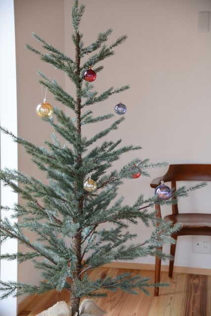 xmastree_prepare_6.jpg