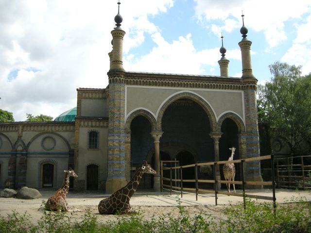 zooberlin_giraffe2.jpg