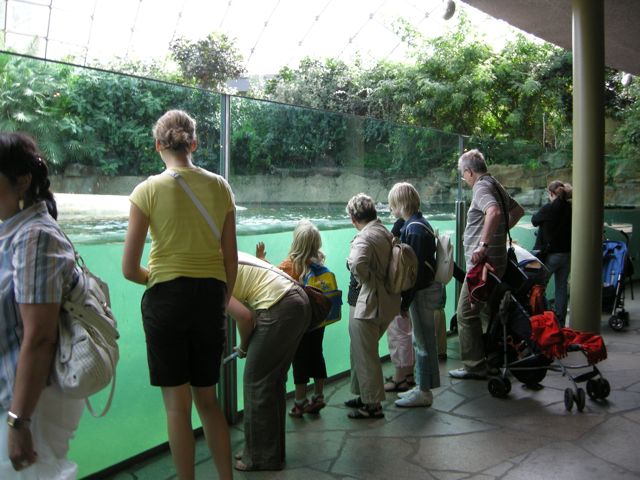 zooberlin_kaba05.jpg